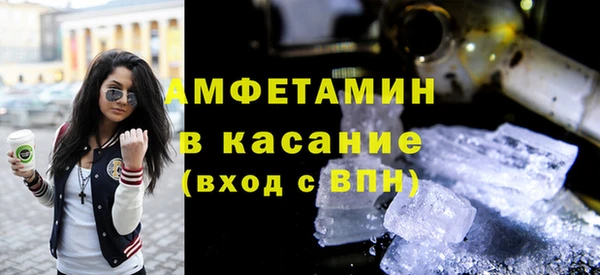 индика Арсеньев