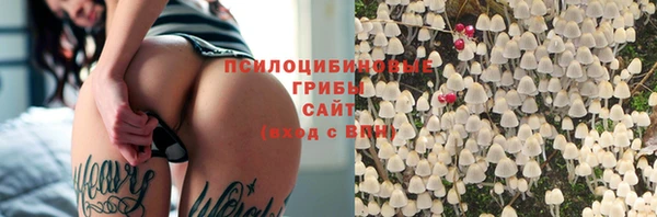 шишки Аркадак