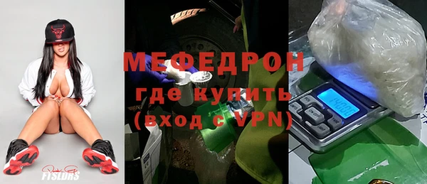 индика Арсеньев