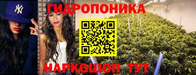не бодяженный Гусев