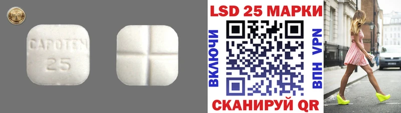Лсд 25 экстази ecstasy  Лесной 