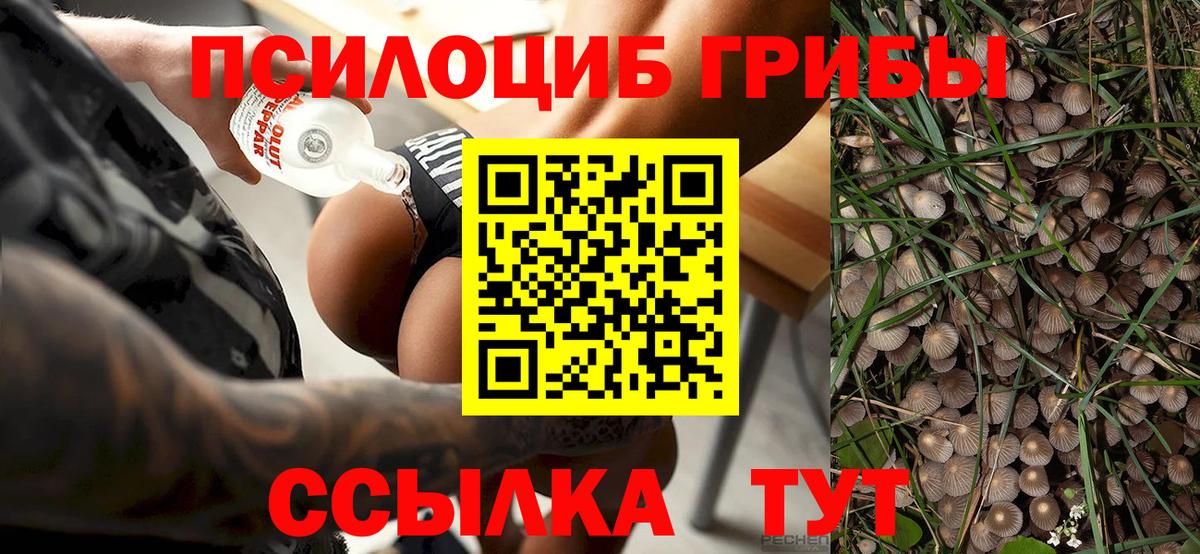 Галлюциногенные грибы мухоморы  Вход с VPN  Лесной  Галлюциногенные грибы мухоморы 