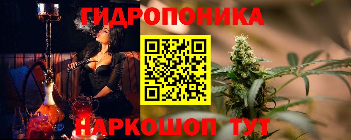 Лесной  Бошки Шишки ГИДРОПОН  Бошки Шишки план  Вход с VPN  Канабис MAZAR 